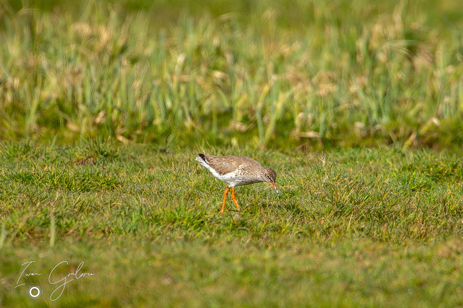 14 april 2022 104753  5D46145